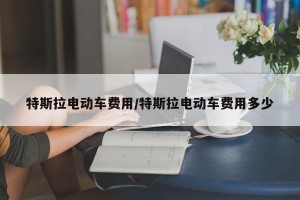 特斯拉电动车费用/特斯拉电动车费用多少