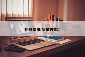 明锐费用/明锐的费用