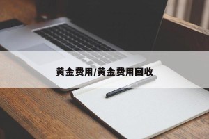 黄金费用/黄金费用回收